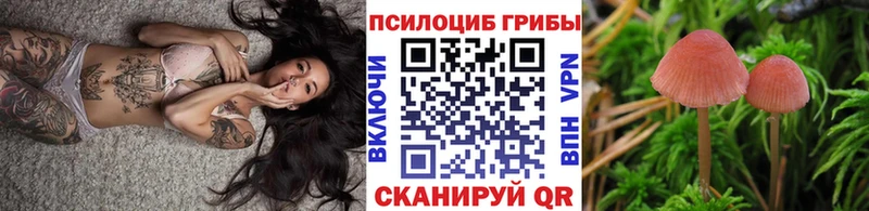 Псилоцибиновые грибы прущие грибы  ОМГ ОМГ ссылки  Лодейное Поле 